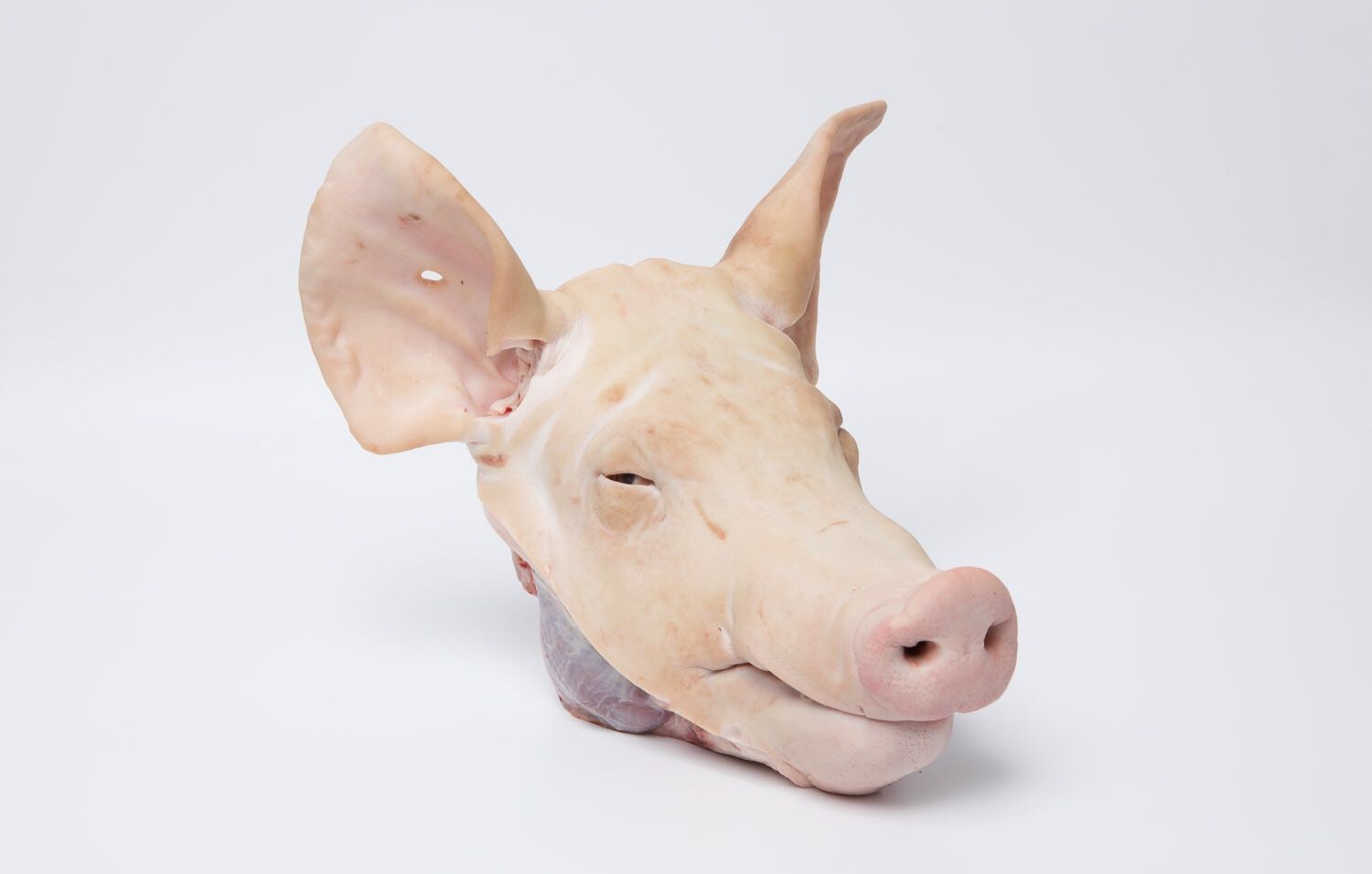 FROZEN PORK HEAD
